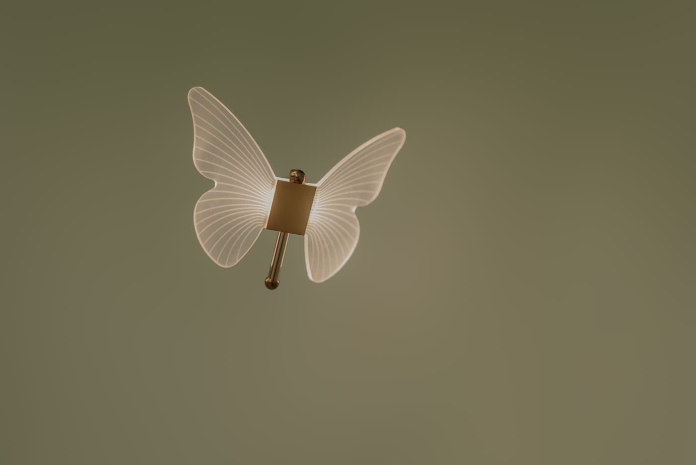 Luminária em formato de borboleta na parede verde do espaço