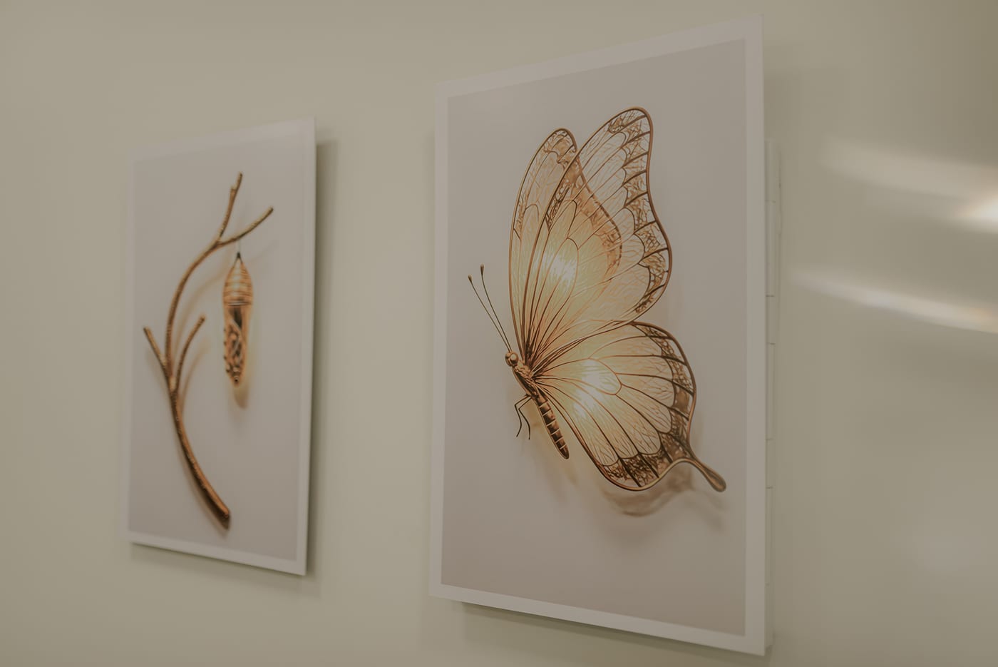 Quadros com ilustrações de casulo e borboleta na parede da sala de atendimento